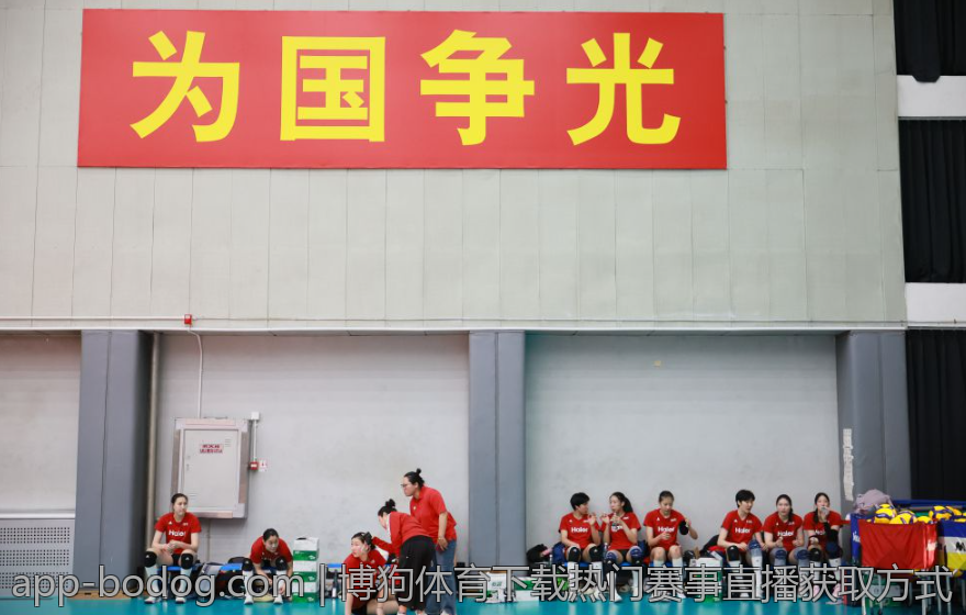 博狗体育下载最新客户端安装指南